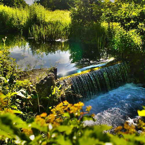 Photo #5435549