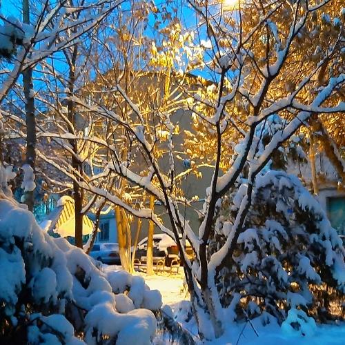 Photo #5435779