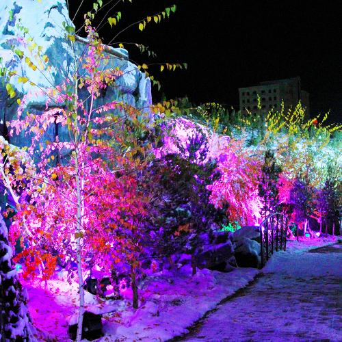 Photo #5435793
