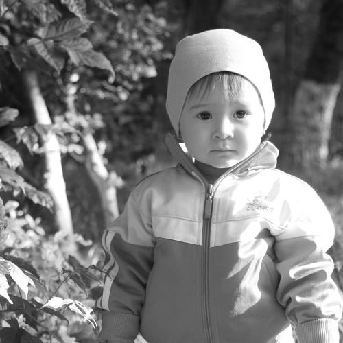 Photo #5435832
