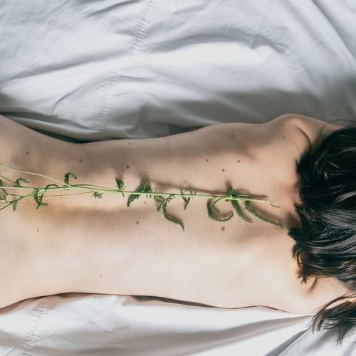Photo #5435906