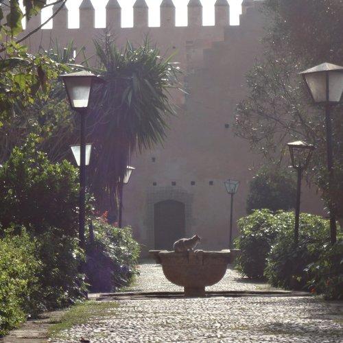 Photo #5436716