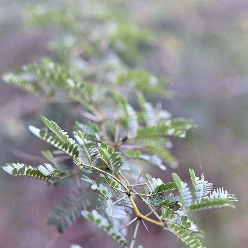 Photo #5436857