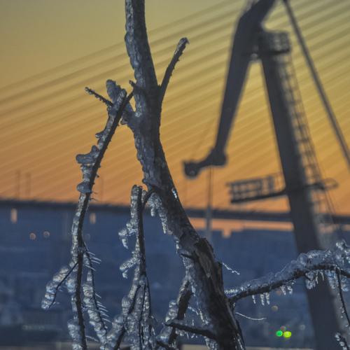 Photo #5437082