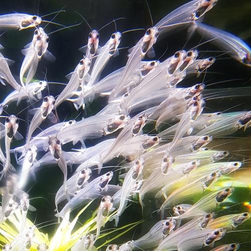 Photo #5437508