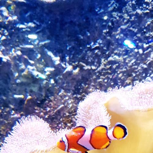 Photo #5437586