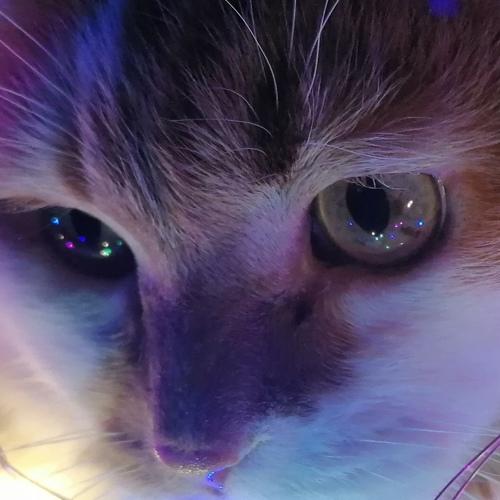 Photo #5437697