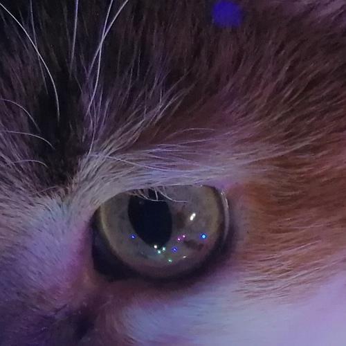 Photo #5437705