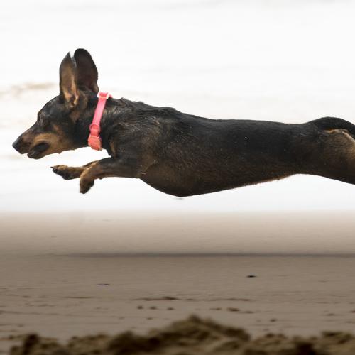 Photo #5437921