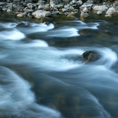 Photo #5438137