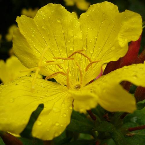 Photo #5438237