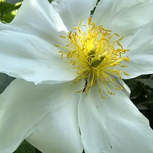 Photo #5438239