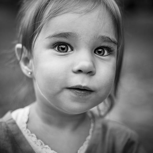 Фотография #5438254