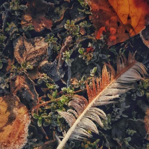 Photo #5438312