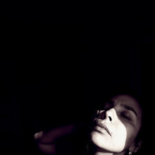 Photo #5438742