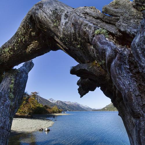 LAGO GUILLELMO