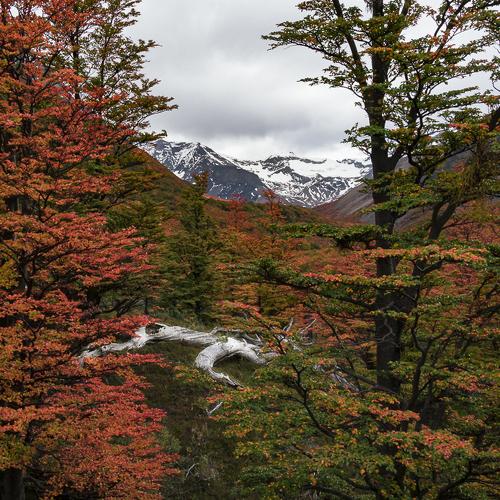 SENDERO BASE DE LAS TORRES