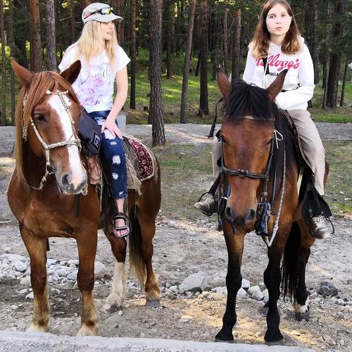 Photo #5439339
