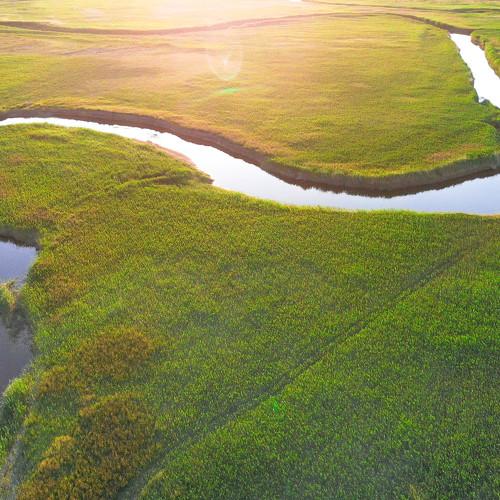 Photo #5439523