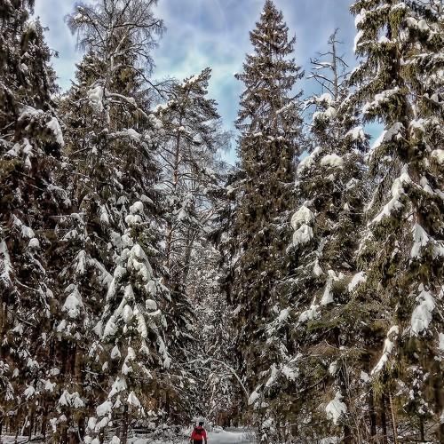 Photo #5439566