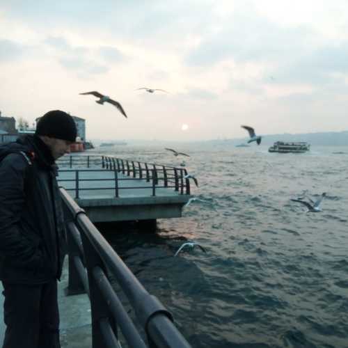 Photo #5439634