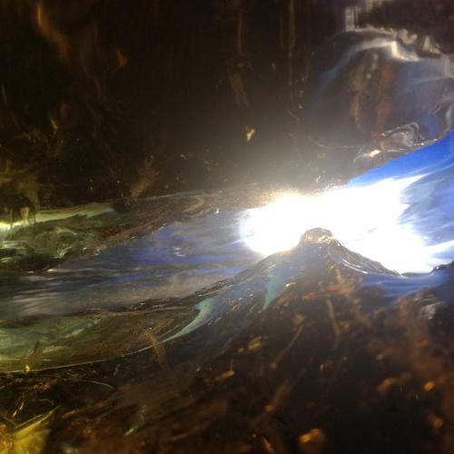 Photo #5440288