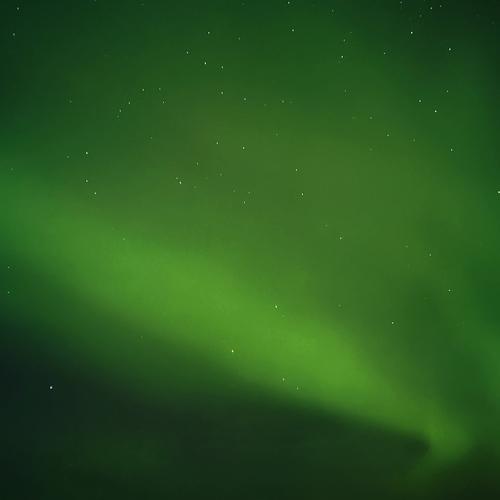 Photo #5440332