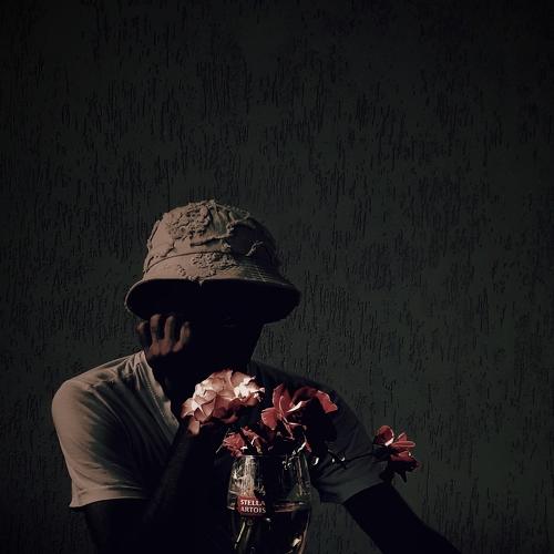 Photo #5440525