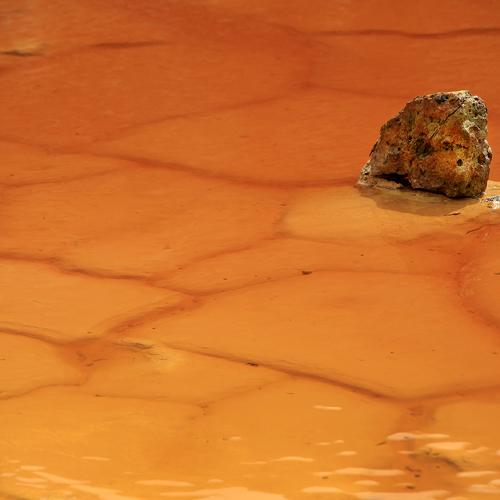 Photo #5440852