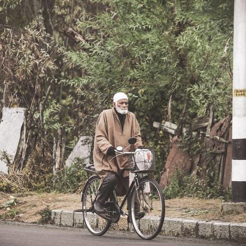 Photo #5440916