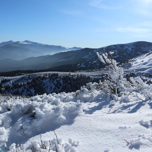 Photo #5440977