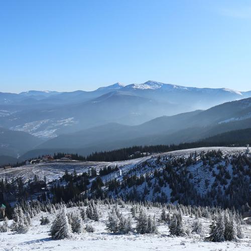 Photo #5441031