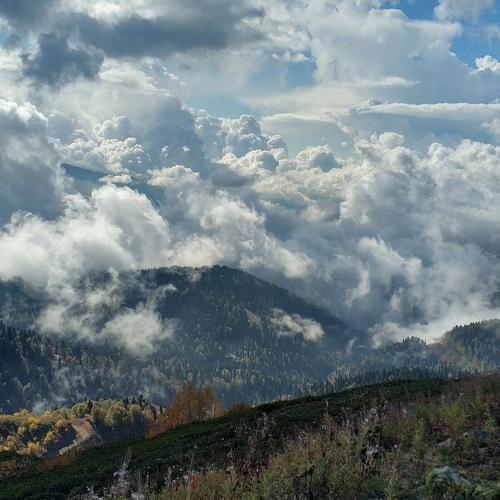 Photo #5441262