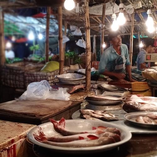 Photo #5442575