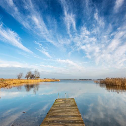 Photo #5443370