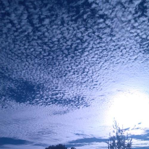 Photo #5443515