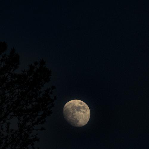 Photo #5443865