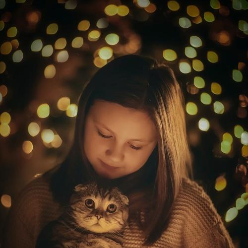Photo #5444327