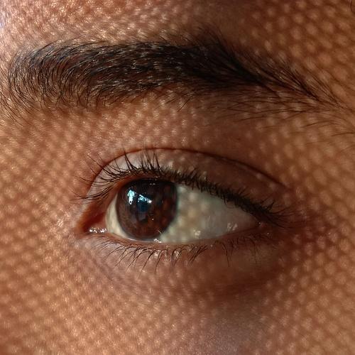 Photo #5444907