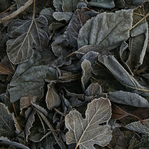 Photo #5445156