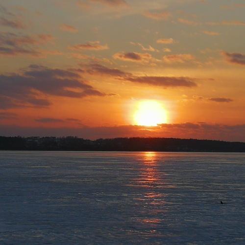 Photo #5445314