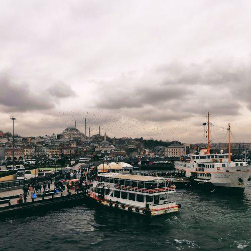 Photo #5445501
