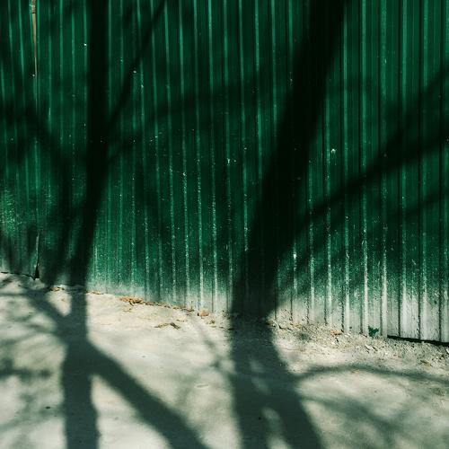 Photo #5445627