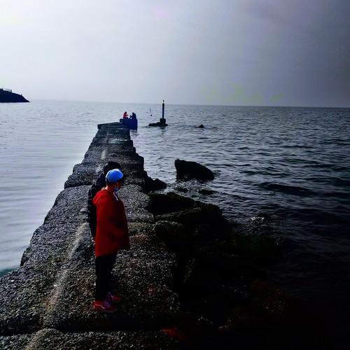 Photo #5445741