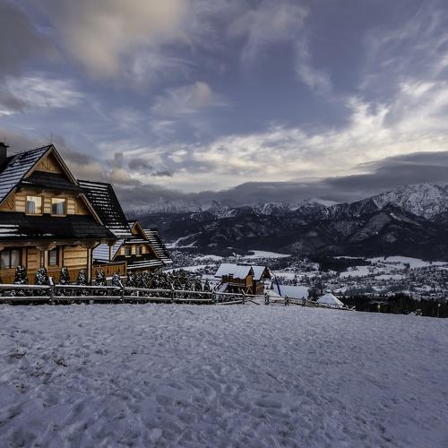 Photo #5446210