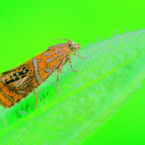 Photo #5446299