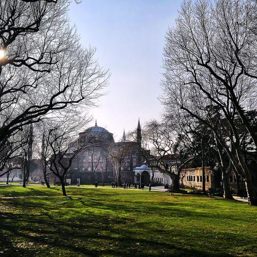 Photo #5446424