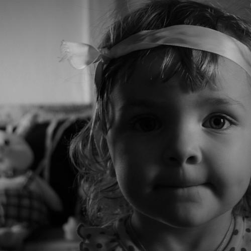 Photo #5446963