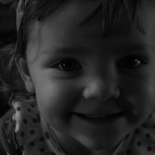 Photo #5446966