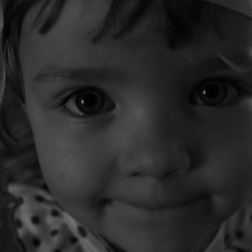 Photo #5446977